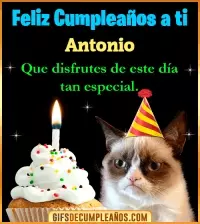 GIF Gato meme Feliz Cumpleaños Antonio